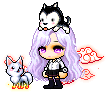 SunsetFox
